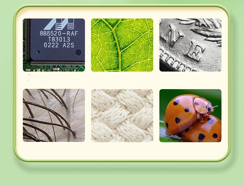 Microscope pour enfants, jouets scientifiques pour enfants, Miniscope ™ Microscope pour enfants, jouets scientifiques pour enfants, Miniscope ™